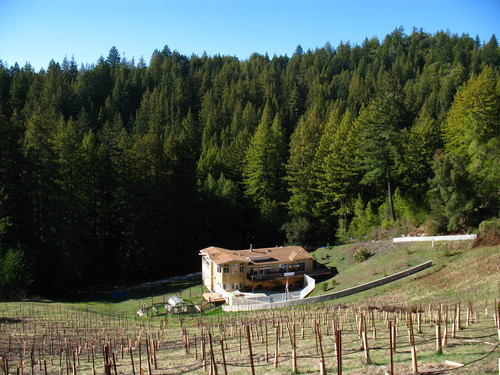380 Hopkins Gulch Road, Boulder Creek, CA, 95006, USA